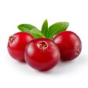 cranberry