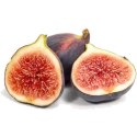 fig