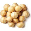 macadamia